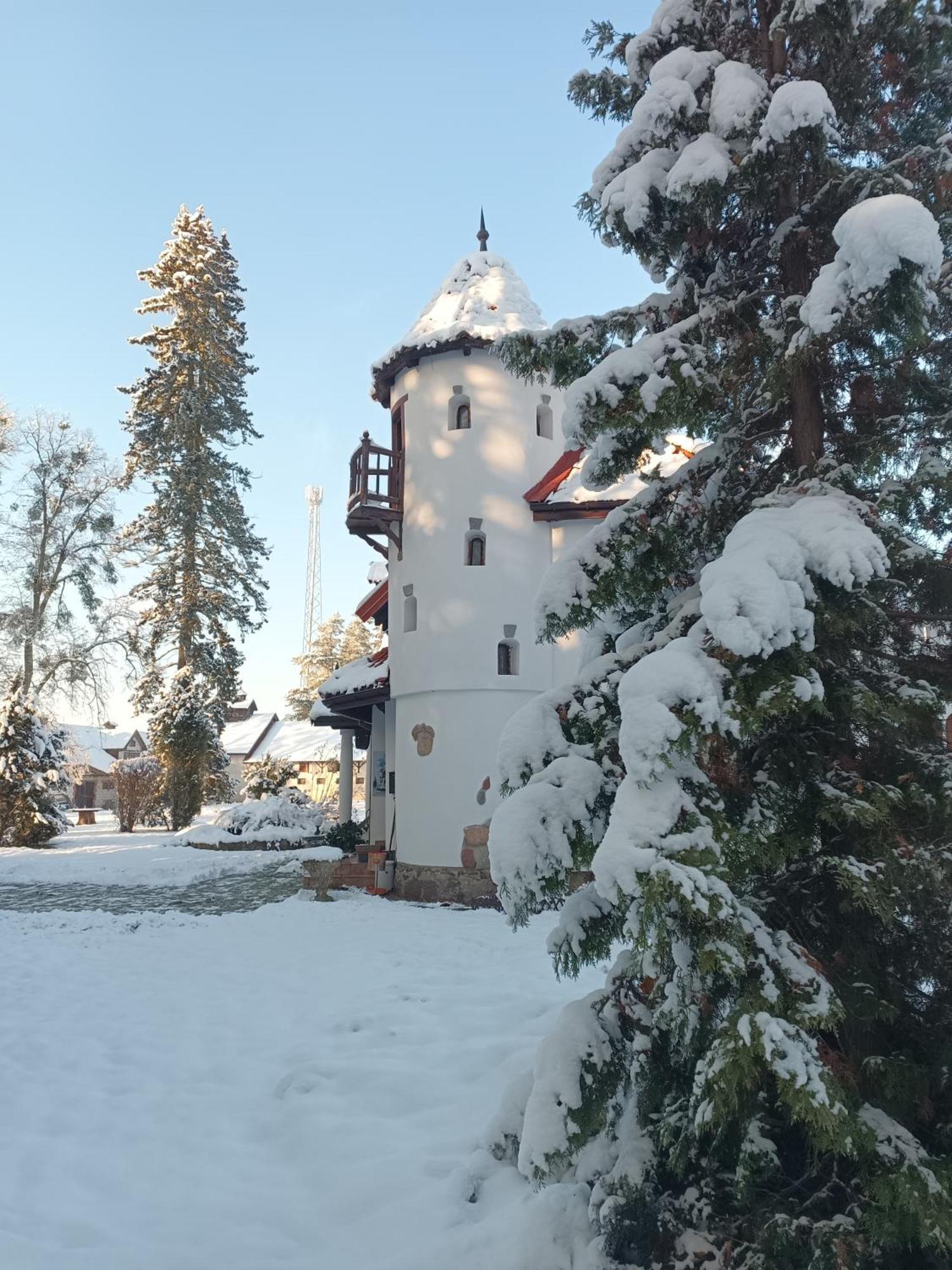 Pensjonat Wiking Старе-Яблонки Экстерьер фото